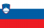 Slovenian